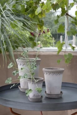 Bergs Potter Copenhagen Pot Grey, 35 Cm 9 Bergs Potter Copenhagen Pot Grey, 35 Cm -Sunny Garden Shop bergs potter copenhagen pot grey 18