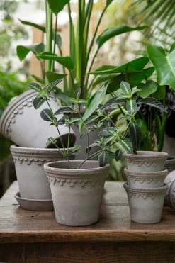 Bergs Potter Copenhagen Pot Grey, 14 Cm -Sunny Garden Shop bergs potter copenhagen pot grey 29 1