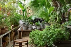 Bergs Potter Copenhagen Pot Grey, 18 Cm -Sunny Garden Shop bergs potter copenhagen pot grey 32 2