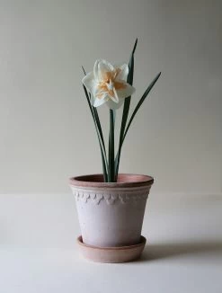 Bergs Potter Copenhagen Pot Pink, 14 Cm -Sunny Garden Shop bergs potter copenhagen pot pink 15 1