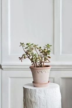 Bergs Potter Copenhagen Pot Pink, 18 Cm -Sunny Garden Shop bergs potter copenhagen pot pink 17 2
