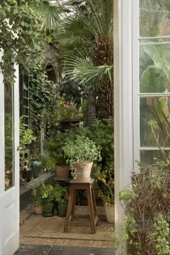 Bergs Potter Copenhagen Pot Rose, 25 Cm -Sunny Garden Shop bergs potter copenhagen pot rose 13 1