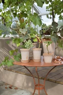 Bergs Potter Copenhagen Pot Rose, 35 Cm -Sunny Garden Shop bergs potter copenhagen pot rose 14 3