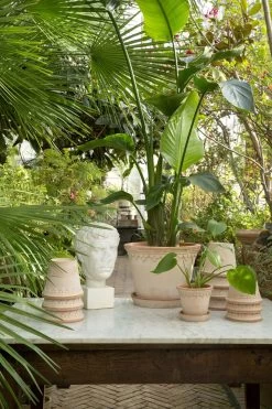 Sunny Garden Shop -Sunny Garden Shop bergs potter copenhagen pot rose 15 3