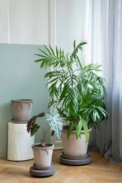 Bergs Potter Emilia Pot Grey, 30 Cm 8 Bergs Potter Emilia Pot Grey, 30 Cm -Sunny Garden Shop bergs potter emilia kruka gra 9