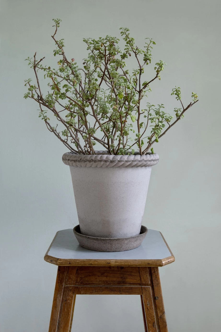 Bergs Potter Emilia Pot Grey, 30 Cm 5 Bergs Potter Emilia Pot Grey, 30 Cm - Image 3