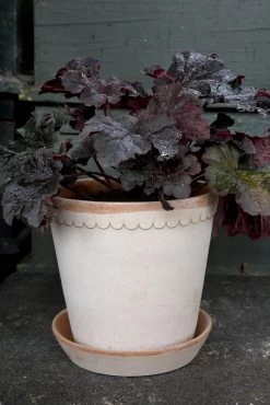 Bergs Potter Helena Pot Rose, 25 Cm 7 Bergs Potter Helena Pot Rose, 25 Cm -Sunny Garden Shop bergs potter helena pot rose 6