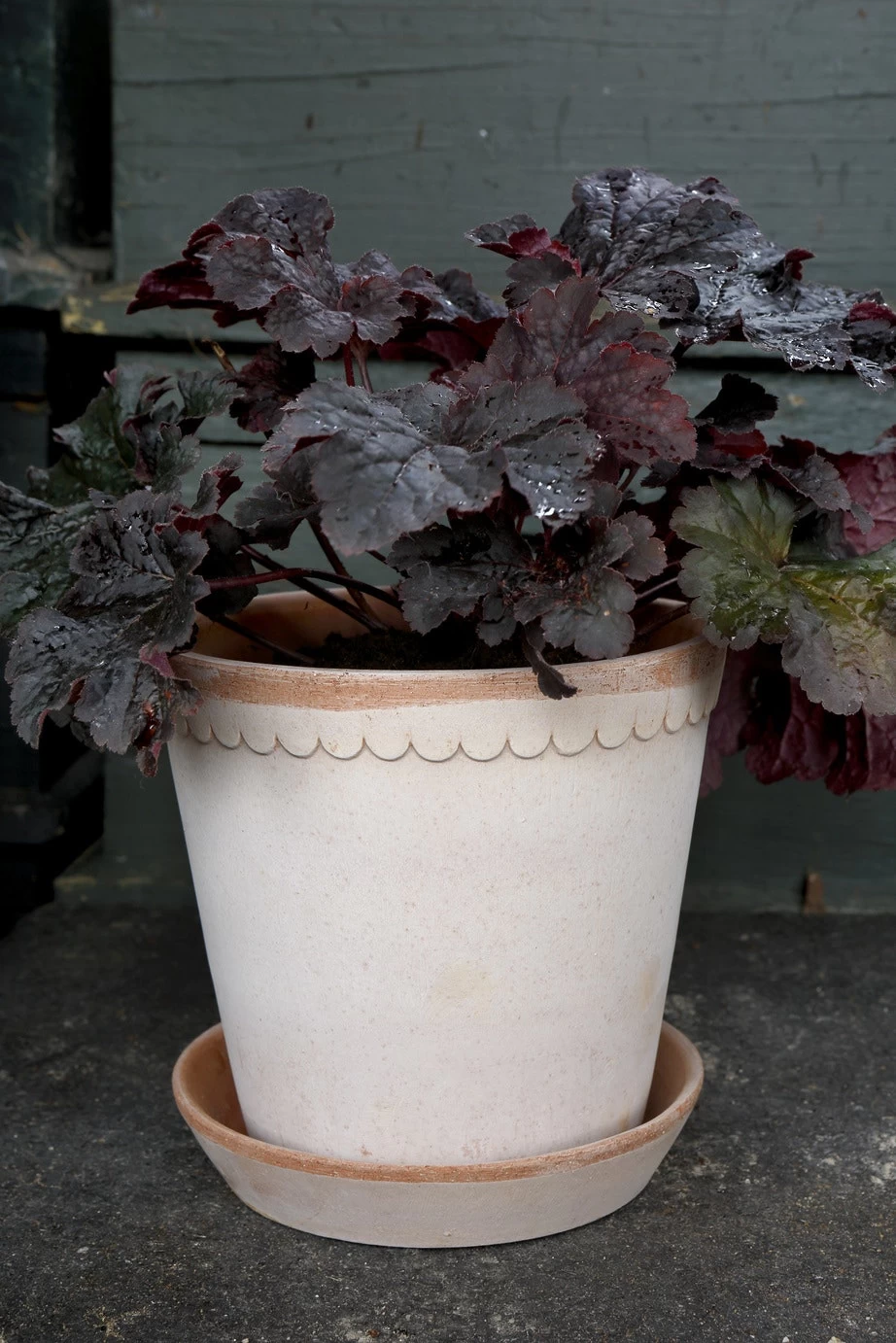Bergs Potter Helena Pot Rose, 25 Cm 5 Bergs Potter Helena Pot Rose, 25 Cm - Image 3