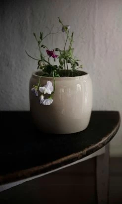 Sunny Garden Shop -Sunny Garden Shop ernst pot glazed stoneware beige 6 3