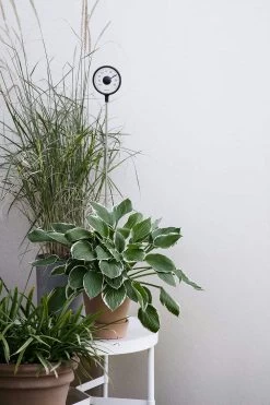 Eva Solo Thermometer Standing -Sunny Garden Shop eva solo thermometer standing 2