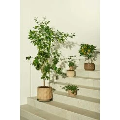 Kähler Gro Flowerpot 26,5 Cm, Light Sand 13 Kähler Gro Flowerpot 26,5 Cm, Light Sand -Sunny Garden Shop kahler gro flowerpot light sand 13
