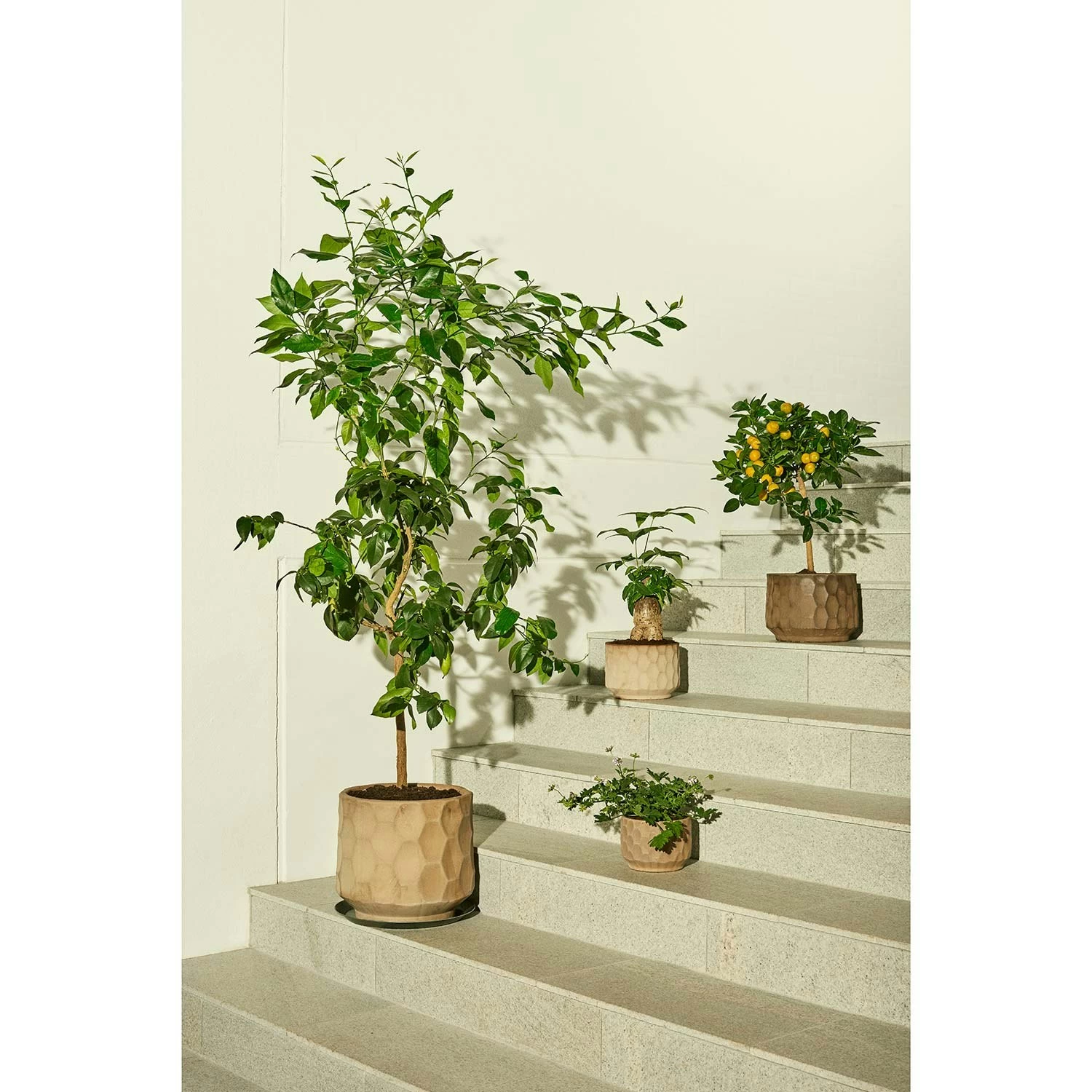 Kähler Gro Flowerpot 26,5 Cm, Light Sand 8 Kähler Gro Flowerpot 26,5 Cm, Light Sand - Image 6