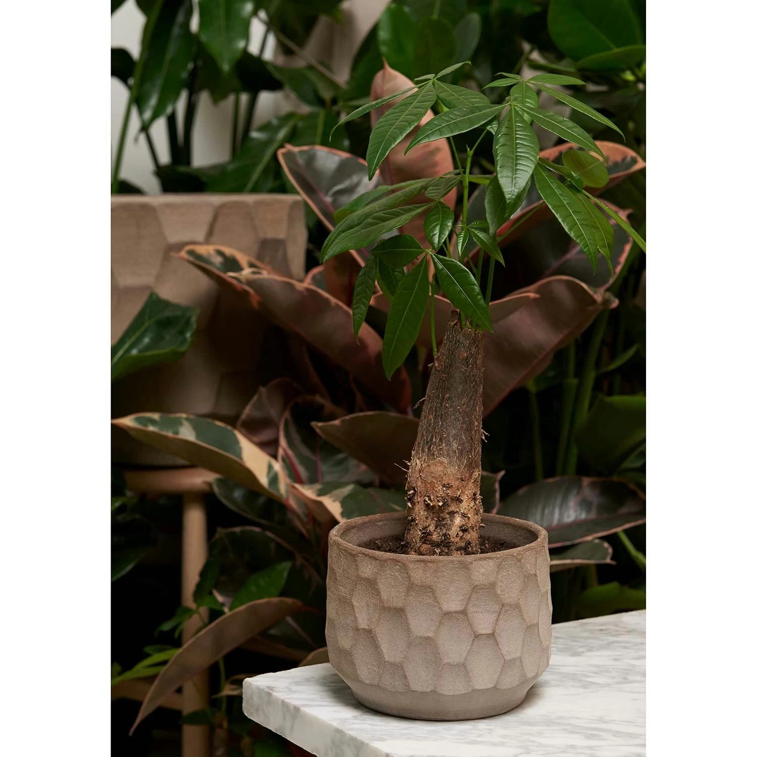 Kähler Gro Flowerpot 26,5 Cm, Light Sand 4 Kähler Gro Flowerpot 26,5 Cm, Light Sand - Image 2