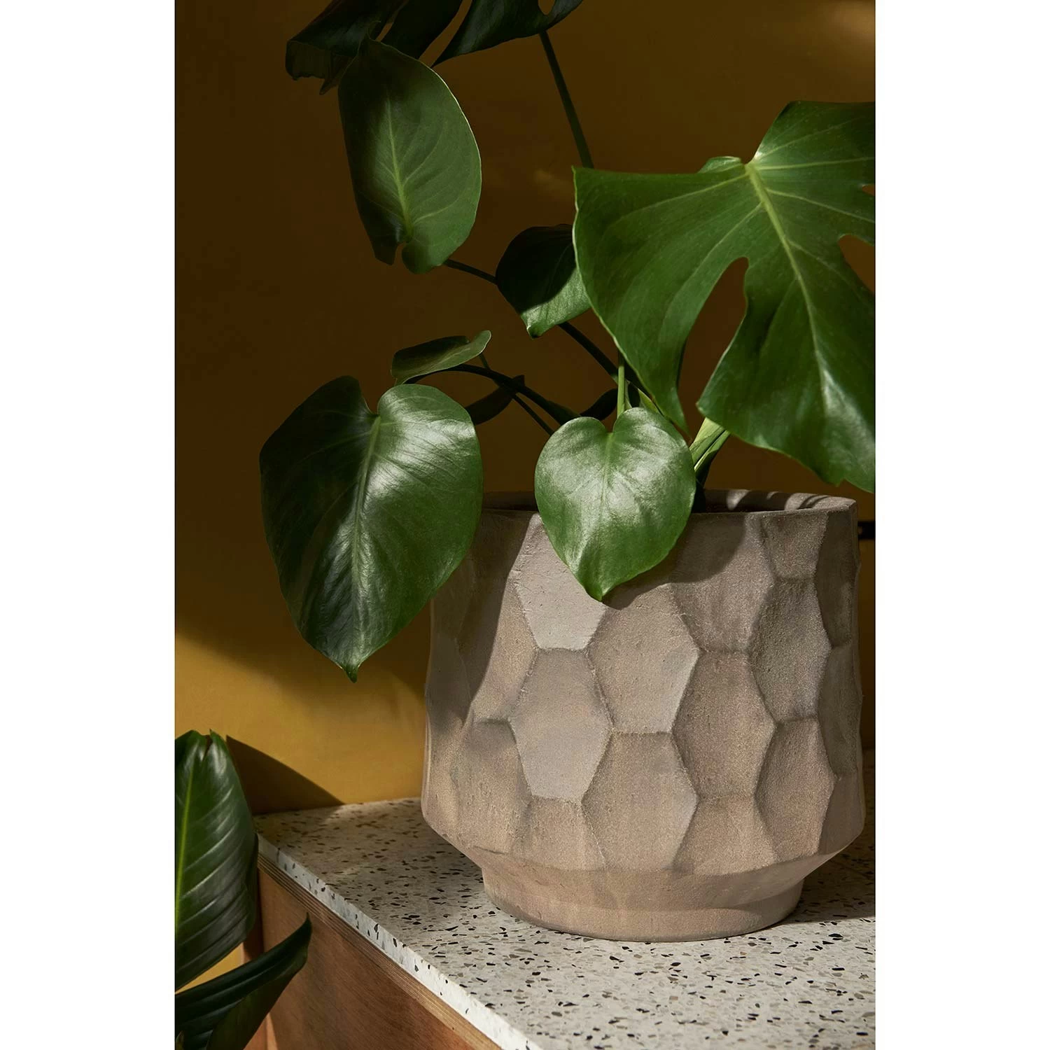 Kähler Gro Flowerpot 21,5 Cm, Light Sand 4 Kähler Gro Flowerpot 21,5 Cm, Light Sand - Image 2
