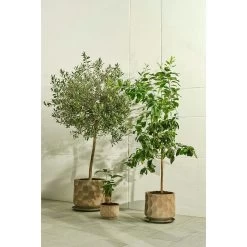 Kähler Gro Flowerpot 21,5 Cm, Light Sand 10 Kähler Gro Flowerpot 21,5 Cm, Light Sand -Sunny Garden Shop kahler gro flowerpot light sand 17