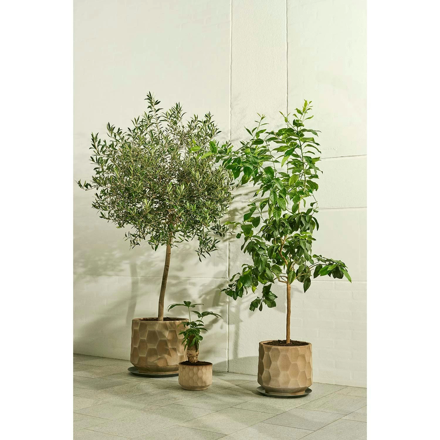 Kähler Gro Flowerpot 21,5 Cm, Light Sand 5 Kähler Gro Flowerpot 21,5 Cm, Light Sand - Image 3