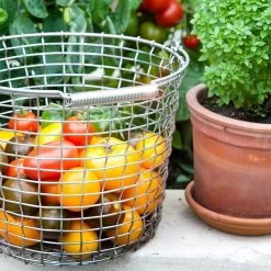 Korbo Bucket 16 Basket, Acid Proof Stainless Steel -Sunny Garden Shop korbo bucket basket acid proof stainless steel 16