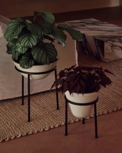 Menu Daiza Planter Ivory, Ø25x35 Cm -Sunny Garden Shop menu daiza planter ivory 10