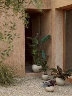 Menu Plantas Planter Ivory, 32 Cm -Sunny Garden Shop menu plantas planter ivory 13