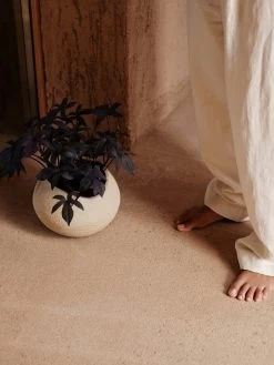 Menu Plantas Planter Ivory, 17 Cm -Sunny Garden Shop menu plantas planter ivory 3