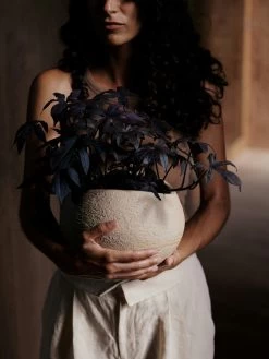 Menu Plantas Planter Ivory, 26 Cm -Sunny Garden Shop menu plantas planter ivory 9