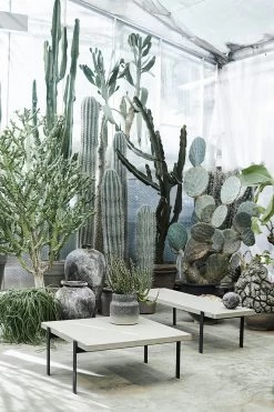 Muubs Kanji Decorative Pot, 22 Cm -Sunny Garden Shop muubs kanji jar 16