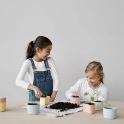 RIG TIG Your Tree Degradable Pot With Seed, Pink -Sunny Garden Shop rig tig by stelton your tree degradable pot with seed 12 1