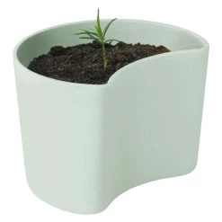 RIG TIG Your Tree Degradable Pot With Seed, Green