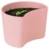 RIG TIG Your Tree Degradable Pot With Seed, Pink 2 RIG TIG Your Tree Degradable Pot With Seed, Pink -Sunny Garden Shop rig tig by stelton your tree degradable pot with seed 7