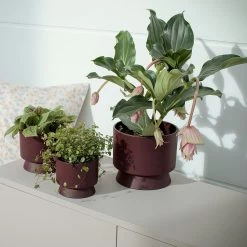 Ro Pot Bordeaux, 19 Cm -Sunny Garden Shop rosendahl copenhagen ro pot bordeaux 8 1