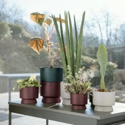 Ro Pot Bordeaux, 12 Cm -Sunny Garden Shop rosendahl copenhagen ro pot bordeaux 9