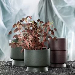 Ro Pot Dark Green, Ø15 Cm -Sunny Garden Shop rosendahl copenhagen ro pot dark green 12