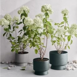 Ro Pot Dark Green, Ø19 Cm -Sunny Garden Shop rosendahl copenhagen ro pot dark green 18 2