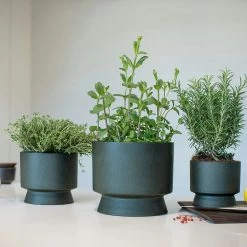 Ro Pot Dark Green, Ø12 Cm -Sunny Garden Shop rosendahl copenhagen ro pot dark green 9 1