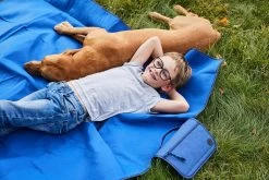 Sagaform City Picnic Blanket 130x170 Cm, Blue 8 Sagaform City Picnic Blanket 130x170 Cm, Blue -Sunny Garden Shop sagaform city picnic blanket 130x170 cm 8