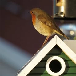 Multiholk Green Cottage -Sunny Garden Shop wildlife garden multiholk birdhouse bird feeder 26