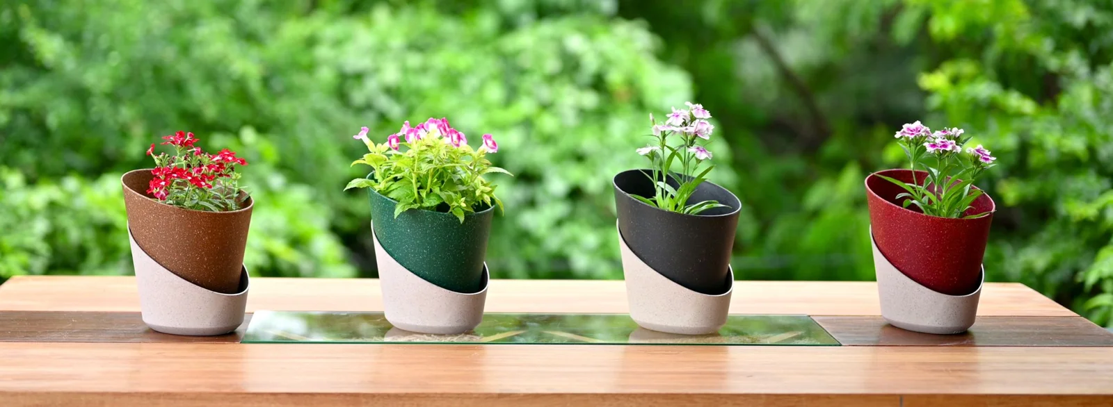 Sunny Garden Shop -Sunny Garden Shop Eha Blogs 2240 × 820 px 2 4